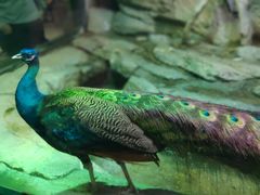 -福州罗源湾海洋世界旅游区