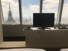 豪华江景双床房-上海柏悦酒店