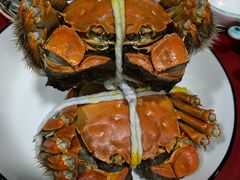 -黄记大闸蟹专卖店·活蟹·醉蟹