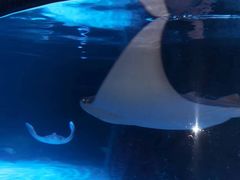 -沈阳海洋探索中心