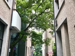 -徐家汇源景区-衡山坊