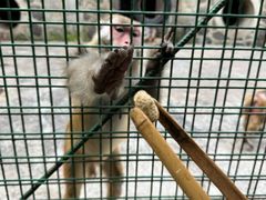 -南京金牛湖风景区