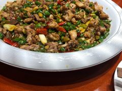 -新概念来凤鱼(璧山店)