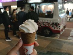 -富豪雪糕车流动点(尖沙咀店)