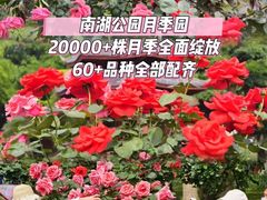 -南宁南湖公园
