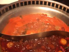 -辣伍鲜毛肚老火锅(元一店)