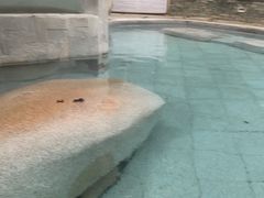 -碧水湾温泉