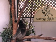 -费瑟代尔野生动物园