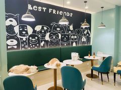 -安格丽娜·狗咖·猫咖羊驼咖(春熙路百盛商场店)