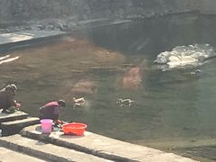 -鹿亭中村
