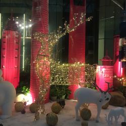 -新锦江大酒店·宴会厅·婚宴