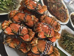 -乡乐园蟹庄·阳澄湖农家乐