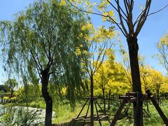 -东郊湿地公园