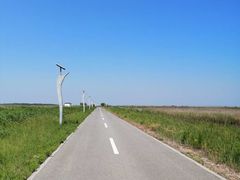 -盐城丹顶鹤湿地生态旅游区