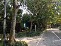 -上海吴淞炮台湾国家湿地公园
