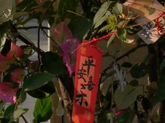 -ommo cafe(半岛城邦店)