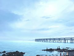 -星海湾跨海大桥
