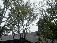 -华润深圳湾体育中心-“春茧” 体育馆