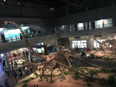 -自贡恐龙博物馆