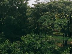 -三亚海棠湾万丽度假酒店