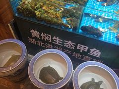 -大张烙馍村(泉山店)