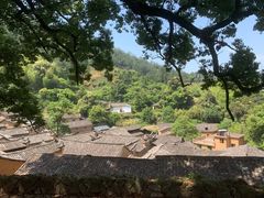 -杨家堂村