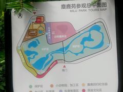 -北京麋鹿生态实验中心