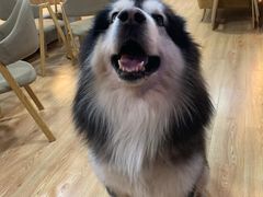 -白兔子密室(长寿路店)