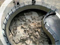 -自贡恐龙博物馆