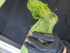 -鹤茶野所(上海首店)