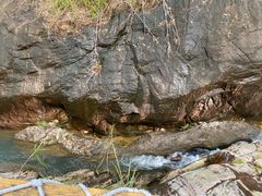 -广州白江湖森林公园