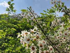 -鹫峰国家森林公园