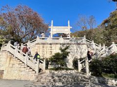 -紫金山山顶公园