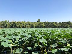 -长春市南湖公园