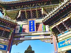 -迎泽公园