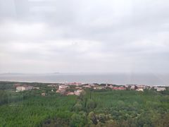 -日照海滨国家森林公园