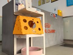 -美美宠物诊疗中心·异宠·骨科(滨江东信分院)