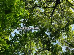 -桤木河湿地公园