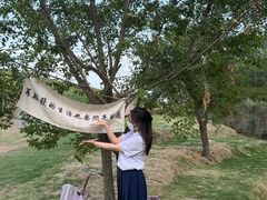 -恋山坝上草原