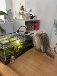 点击看大图 -Sugar苏格婚礼策划工作室