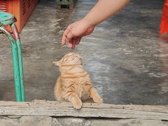 -韩城古城
