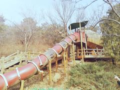 -北京西山国家森林公园