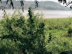 -白氏鲶鱼汤(白亮1号店)