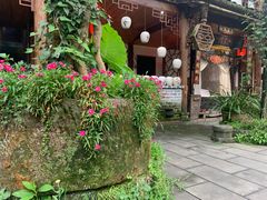 -青城甲(青城山店)