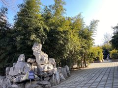-达活泉公园