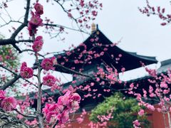 -广富林郊野公园