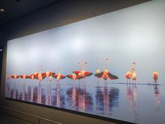 -罗红摄影艺术馆