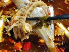 -倒拐香耗儿鱼(西体店)