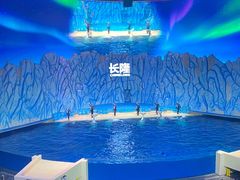 -珠海长隆海洋王国