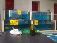 水产区-大眼锅贴水饺(河东店)